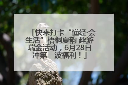 快来打卡“懂经·会生活”梧桐夏韵 趣游瑞金活动，6月28日冲第一波福利！