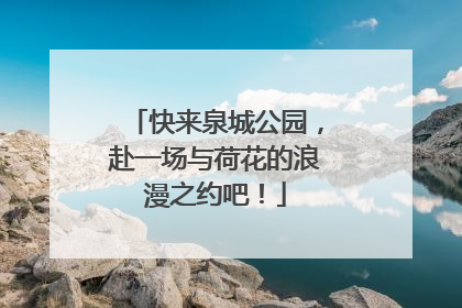 快来泉城公园，赴一场与荷花的浪漫之约吧！