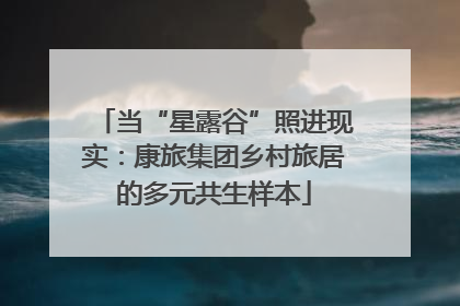 当“星露谷”照进现实：康旅集团乡村旅居的多元共生样本