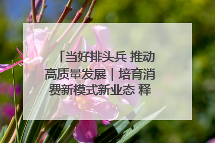 当好排头兵 推动高质量发展｜培育消费新模式新业态 释放经济增长新动能