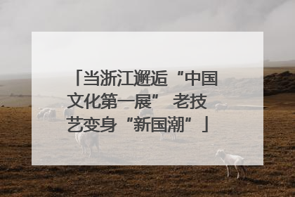 当浙江邂逅“中国文化第一展” 老技艺变身“新国潮”