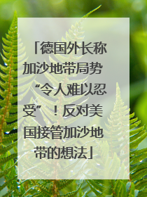 德国外长称加沙地带局势“令人难以忍受”！反对美国接管加沙地带的想法