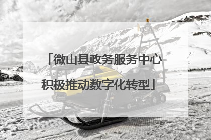 微山县政务服务中心积极推动数字化转型