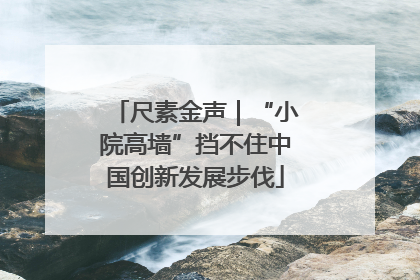 尺素金声｜“小院高墙”挡不住中国创新发展步伐
