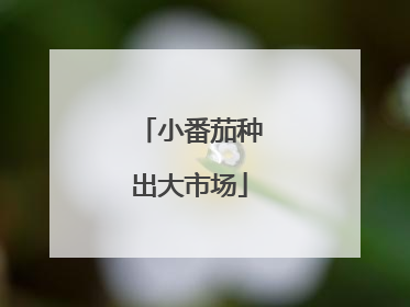 小番茄种出大市场