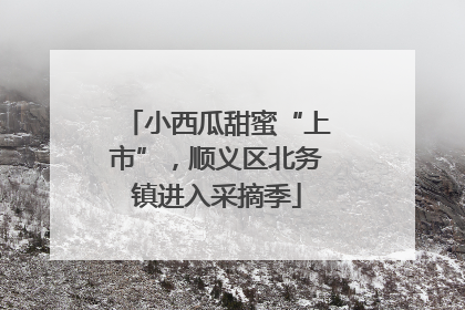 小西瓜甜蜜“上市”，顺义区北务镇进入采摘季