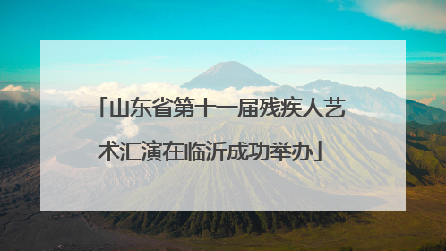 山东省第十一届残疾人艺术汇演在临沂成功举办