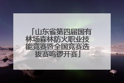 山东省第四届国有林场森林防火职业技能竞赛暨全国竞赛选拔赛鸣锣开赛