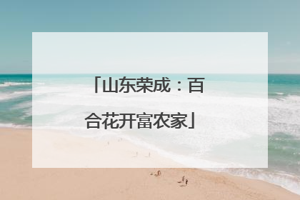 山东荣成：百合花开富农家