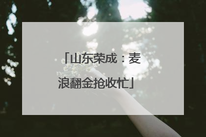 山东荣成：麦浪翻金抢收忙