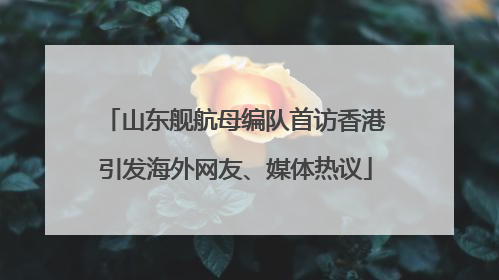山东舰航母编队首访香港引发海外网友、媒体热议