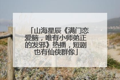 山海星辰《满门恋爱脑，唯有小师弟正的发邪》热播，短剧也有仙侠群像