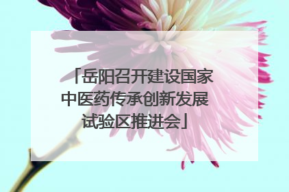 岳阳召开建设国家中医药传承创新发展试验区推进会
