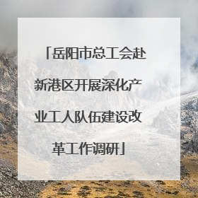 岳阳市总工会赴新港区开展深化产业工人队伍建设改革工作调研