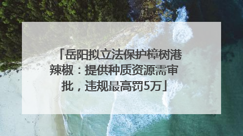岳阳拟立法保护樟树港辣椒：提供种质资源需审批，违规最高罚5万