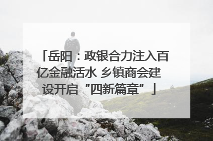 岳阳：政银合力注入百亿金融活水 乡镇商会建设开启“四新篇章”