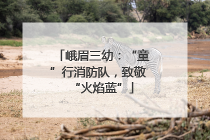 峨眉三幼：“童”行消防队，致敬“火焰蓝”