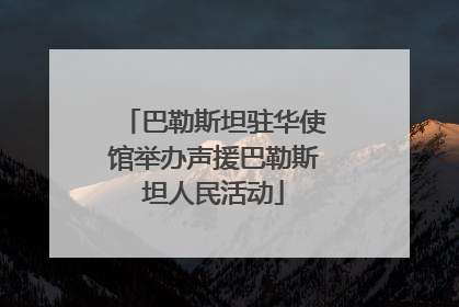 巴勒斯坦驻华使馆举办声援巴勒斯坦人民活动