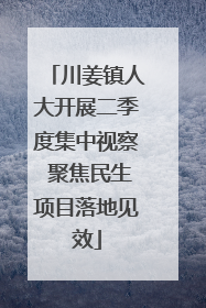 川姜镇人大开展二季度集中视察 聚焦民生项目落地见效