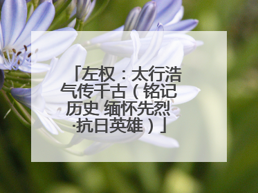左权：太行浩气传千古（铭记历史 缅怀先烈·抗日英雄）