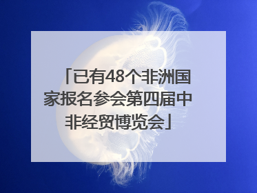 已有48个非洲国家报名参会第四届中非经贸博览会
