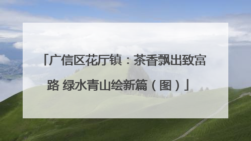 广信区花厅镇：茶香飘出致富路 绿水青山绘新篇（图）