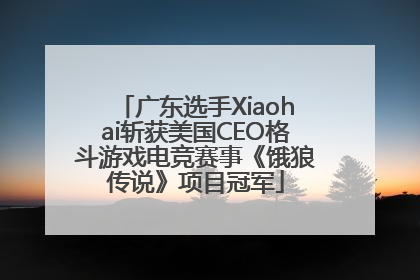 广东选手Xiaohai斩获美国CEO格斗游戏电竞赛事《饿狼传说》项目冠军