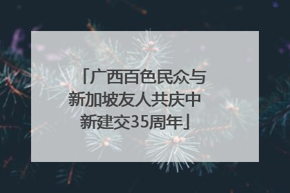 广西百色民众与新加坡友人共庆中新建交35周年