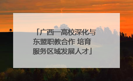 广西一高校深化与东盟职教合作 培育服务区域发展人才