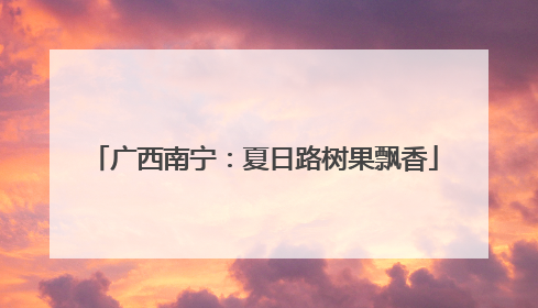广西南宁：夏日路树果飘香
