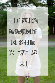 广西北海破陈规树新风 乡村振兴“活”起来