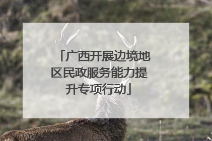 广西开展边境地区民政服务能力提升专项行动