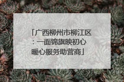 广西柳州市柳江区：一面锦旗映初心 暖心服务助营商