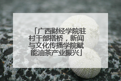 广西财经学院驻村干部搭桥，新闻与文化传播学院赋能油茶产业振兴
