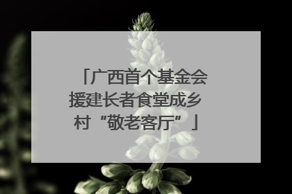 广西首个基金会援建长者食堂成乡村“敬老客厅”