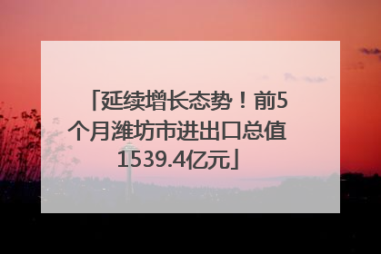 延续增长态势！前5个月潍坊市进出口总值1539.4亿元