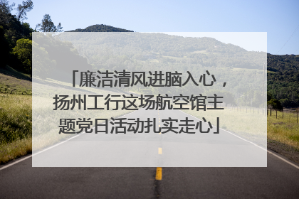 廉洁清风进脑入心，扬州工行这场航空馆主题党日活动扎实走心