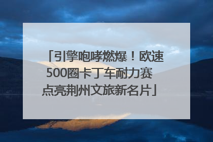 引擎咆哮燃爆！欧速500圈卡丁车耐力赛点亮荆州文旅新名片