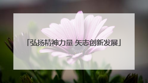 弘扬精神力量 矢志创新发展