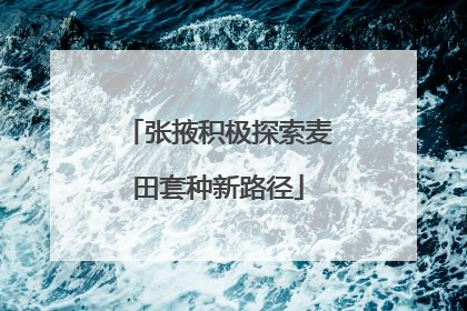 张掖积极探索麦田套种新路径