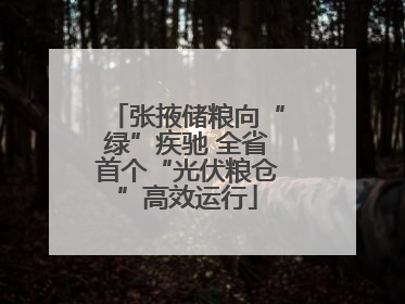 张掖储粮向“绿”疾驰 全省首个“光伏粮仓”高效运行