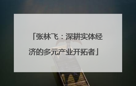 张林飞：深耕实体经济的多元产业开拓者