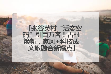张谷英村“活态密码”引百万客！古村焕新，家风+科技成文旅融合新爆点