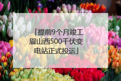 提前9个月竣工 眉山西500千伏变电站正式投运