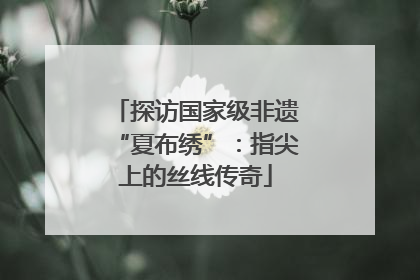 探访国家级非遗“夏布绣”：指尖上的丝线传奇