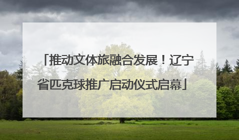 推动文体旅融合发展！辽宁省匹克球推广启动仪式启幕