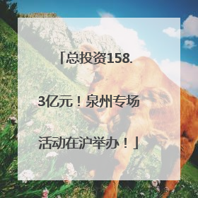 总投资158.3亿元！泉州专场活动在沪举办！