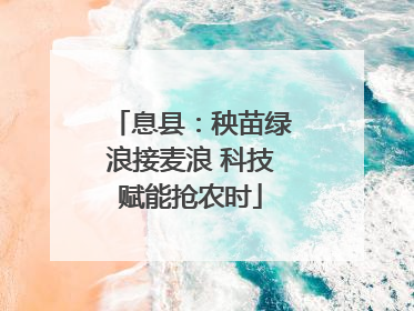 息县：秧苗绿浪接麦浪 科技赋能抢农时