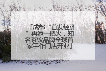 成都“首发经济”再添一把火，知名茶饮品牌全球首家手作门店开业