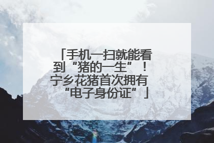 手机一扫就能看到“猪的一生”！宁乡花猪首次拥有“电子身份证”